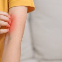 shutterstock_2511825977